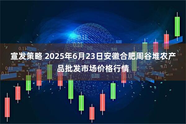 宣发策略 2025年6月23日安徽合肥周谷堆农产品批发市场价格行情