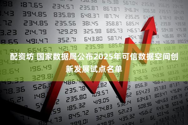 配资坊 国家数据局公布2025年可信数据空间创新发展试点名单