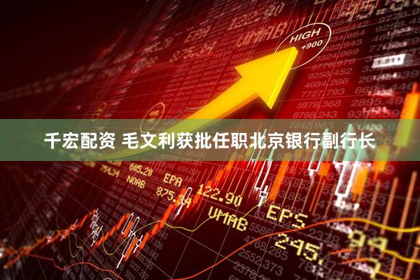 千宏配资 毛文利获批任职北京银行副行长