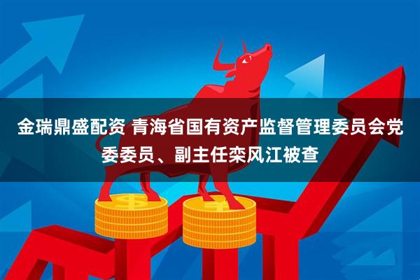 金瑞鼎盛配资 青海省国有资产监督管理委员会党委委员、副主任栾风江被查