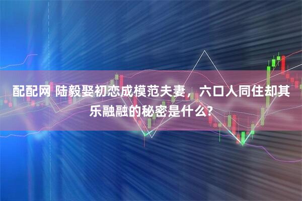 配配网 陆毅娶初恋成模范夫妻，六口人同住却其乐融融的秘密是什么?